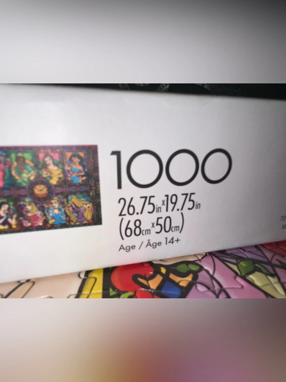 Disney Ceaco STAINED GLASS PRINCESS 1000 Piece PUZZLE Silver Edition 100% Compl